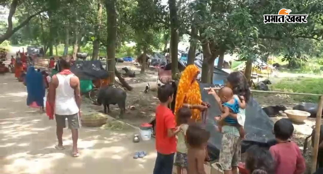 1 कमरूद्दीनपुर में ग्रामीण सड़कों पर बहती गंगा का पानी 2 कमरुद्दीनपुर में बोरा और फोम से बनाया ग्रामीणों ने सामान ढोने हेतु कामचलाऊ नाव 3 साहेबपुरकमाल के दियारा इलाके में जमा बाढ़ की पानी 4 तेघड़ा में एक बगीचा में शरण लिए पशुपालक परिवार | Prabhat Khabar Network