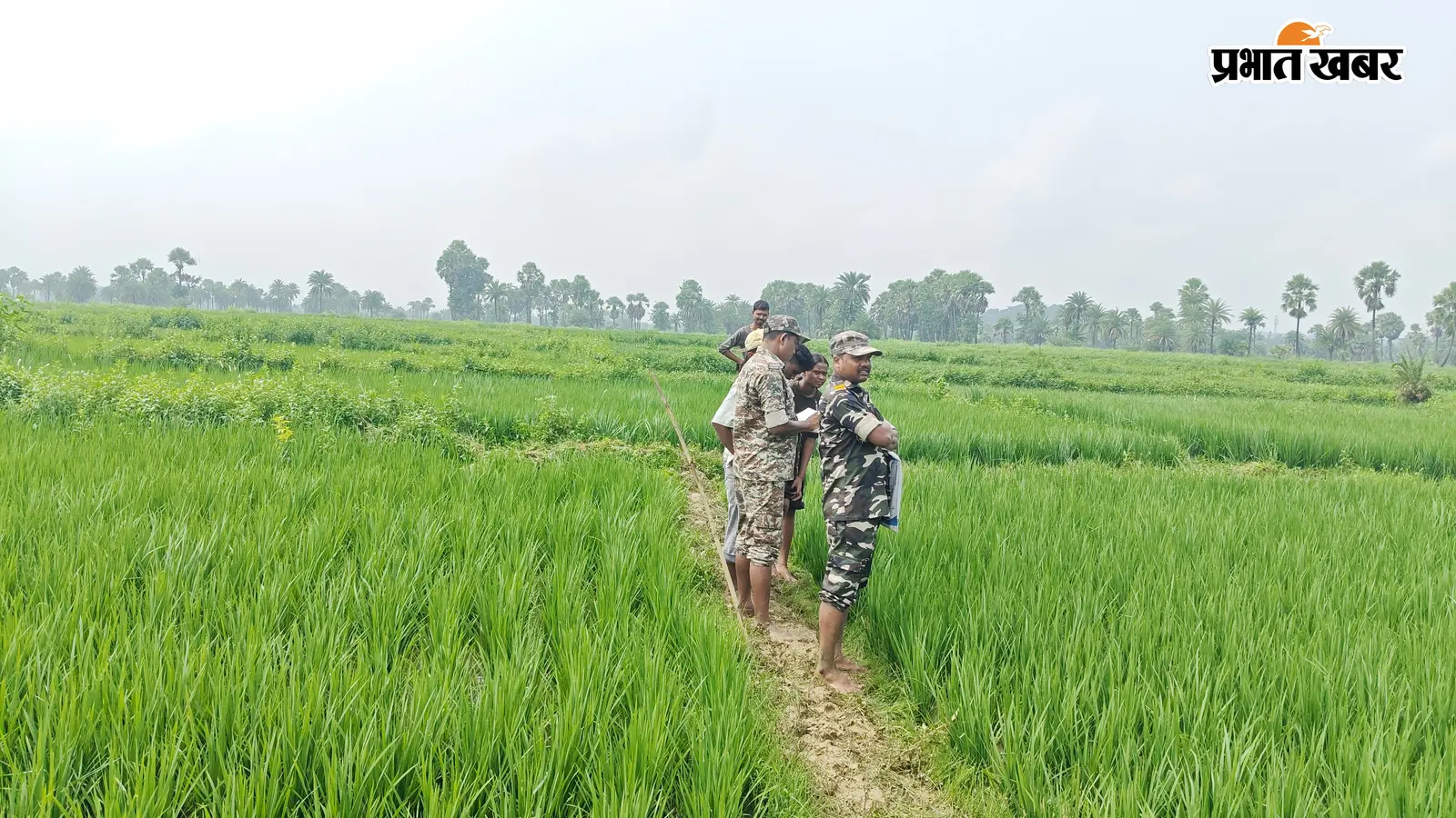 दो दिन से तलाश रहे थे परिजन, धान के खेत में पानी के बीच मिला करण का शव
