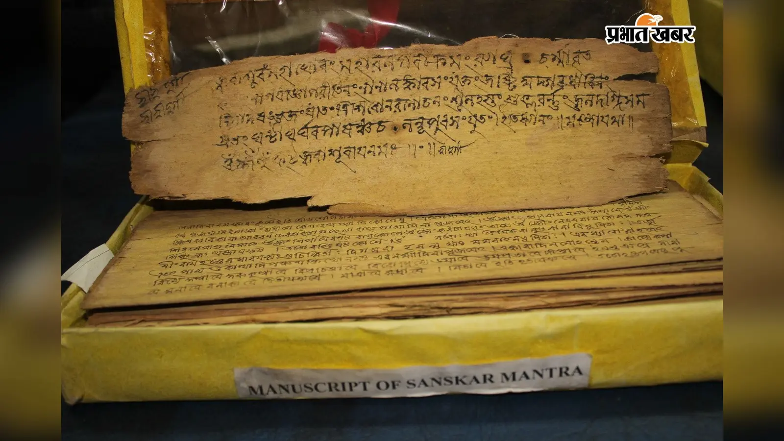 किताबों से पहले पेड़ की छाल थी कागज, जमशेदपुर के इस यूनिवर्सिटी में आज भी दिखती है विरासत की लिखावट