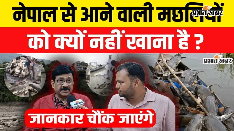 Watch VIDEO: नेपाल की बाढ़ से बिहार आई मछलियों को लेकर अलर्ट, डॉक्टर बोले- खाने से हो सकती है गंभीर बीमारी