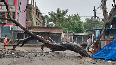 सारण के तरैया में 130 साल पुराने नीम के पेड़ से टकराया टैंकर, आधा हिस्सा सड़क पर गिरा, चालक फरार