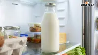दूध बार-बार हो जाता है खट्टा? फ्रिज में रखने से पहले जान लें ये जरूरी बात