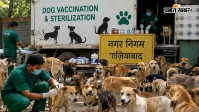 UP में 22 हजार से ज्यादा कुत्तों को वैक्सीन, फिर कीमत पर चुप्पी क्यों? NGO के भुगतान और खरीदारी तक आयोग ने मांगा हिसाब