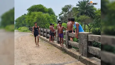 उफनती गुमानी नदी में जानलेवा छलांग: 20 फीट ऊंचे पुल से कूद रहे बच्चे