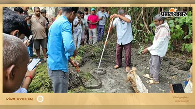 रेलवे तालाब की सफाई के दौरान मिला विशाल अजगर