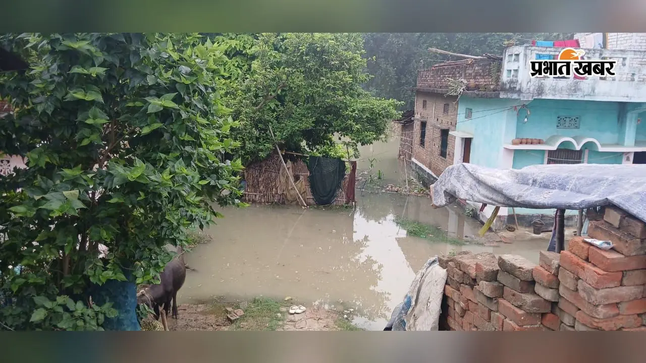 सारण: दरियापुर में बाढ़ का तांडव, सुखमयी नदी का बांध टूटा; माही के तटबंध पर भी बढ़ा दबाव
