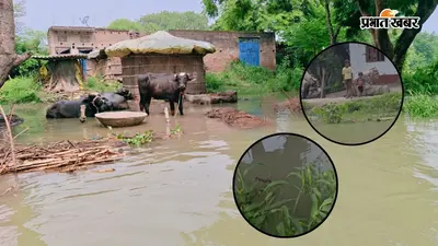 मचान पर कट रही रातें, बह गईं फसलें! बलिया में सरयू नदी का तांडव, क्या शनिवार को मिलेगी ग्रामीणों को राहत?