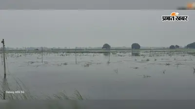 सीवान: गुठनी में सरयू का जलस्तर खतरे के निशान से 43 सेंटीमीटर ऊपर, तटवर्ती इलाकों में बढ़ी चिंता