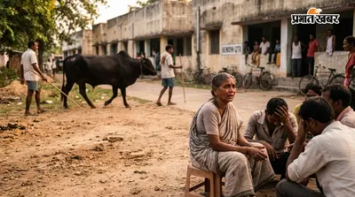 सांड के हमले से एक बुजुर्ग की मौत, बेनीडीह क्वार्टर में दहशत; ग्रामीणों ने की पकड़ने की मांग