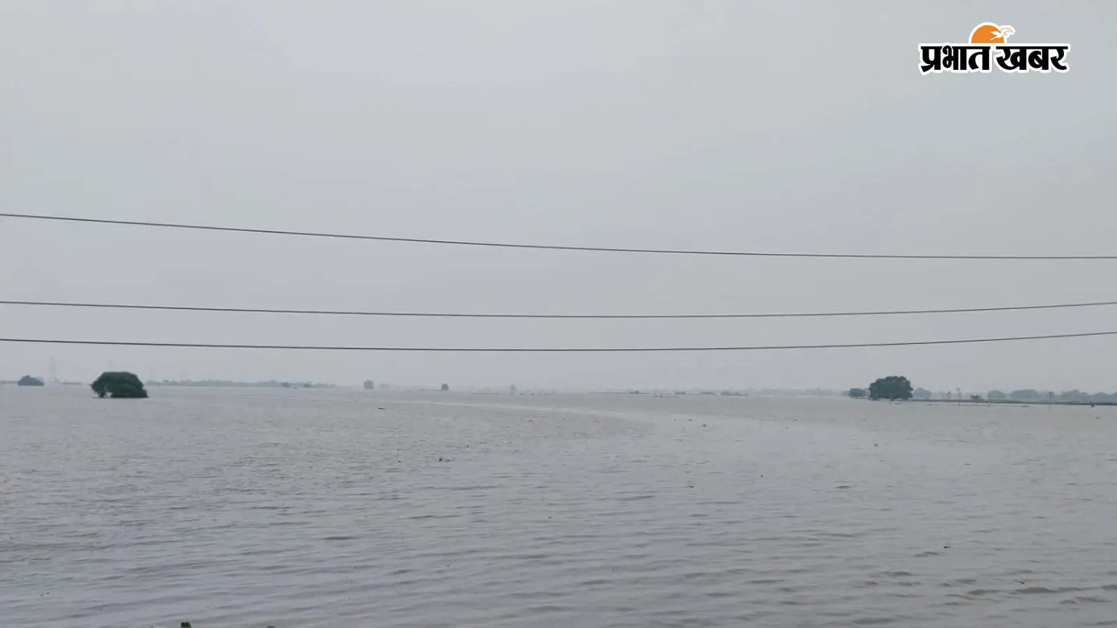 शाहपुर में गंगा का रौद्र रूप, प्रखंड का 80 प्रतिशत भूभाग जलमग्न; यातायात के लिए नाव बनी एकमात्र सहारा