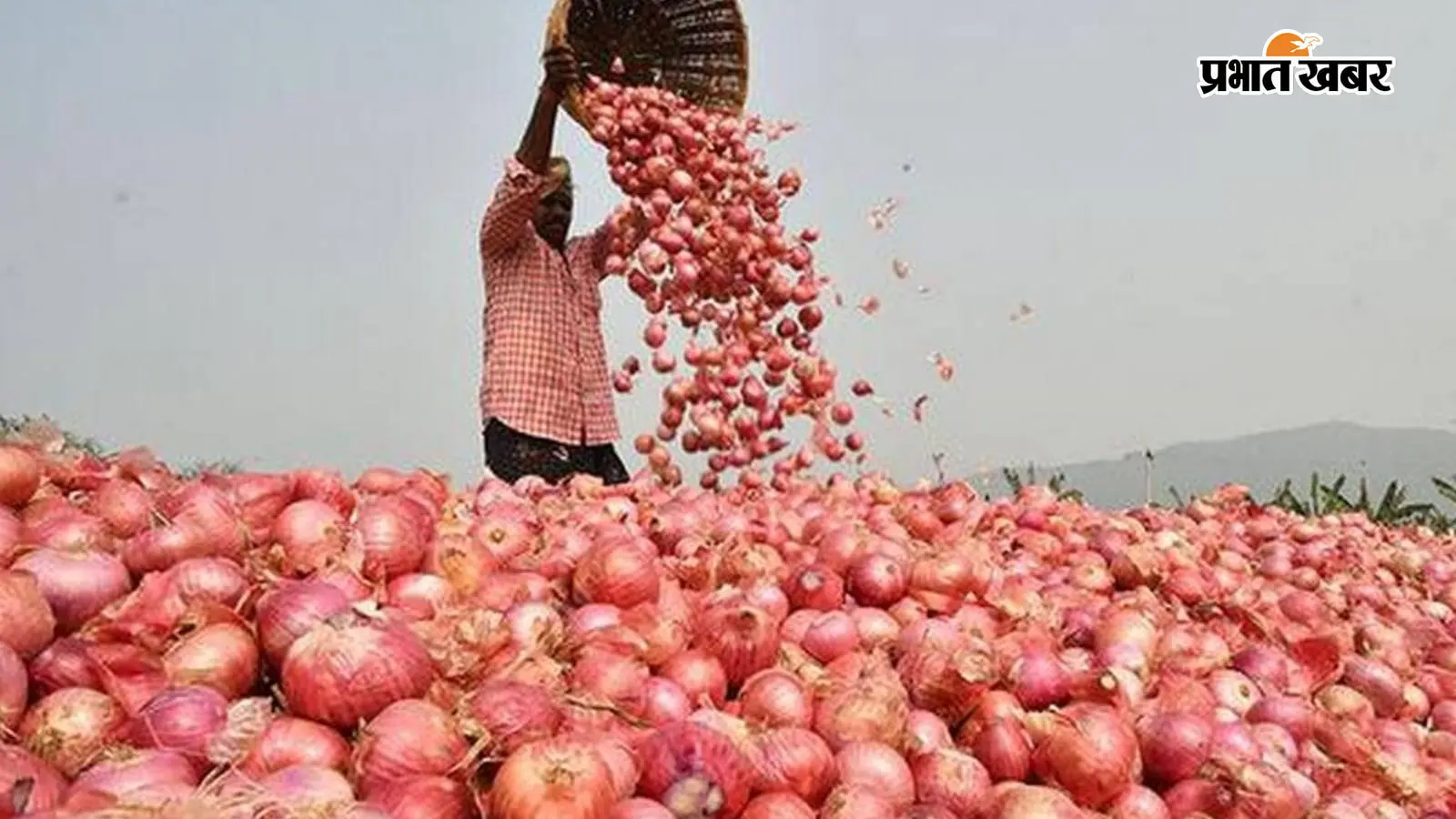 बिहार में प्याज की कीमत गिरने पर नहीं बेचनी होगी फसल, भंडारण गृह पर मिलेगा 75% तक अनुदान