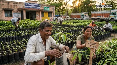 धनबाद में तैयार होंगे 25 हजार फलदार पौधे, किसानों को मिलेंगे उपयोगी पौधे