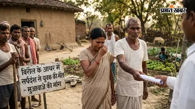 बिरौल के आथर में सर्पदंश से युवक की मौत: मजदूरी कर पालता था परिवार, मुआवजे की मांग