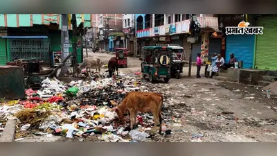 नवादा में कचरा प्रबंधन की खुली पोल, 10 दिन से कचरा उठाव ठप; शहर की गलियों में लगा कचरे का अंबार