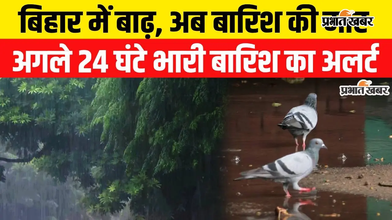 VIDEO : बिहार में फिर सक्रिय हुआ मानसून, 6 से 8 सितंबर तक भारी बारिश का अलर्ट, वीडियो में जानिए IMD का अलर्ट