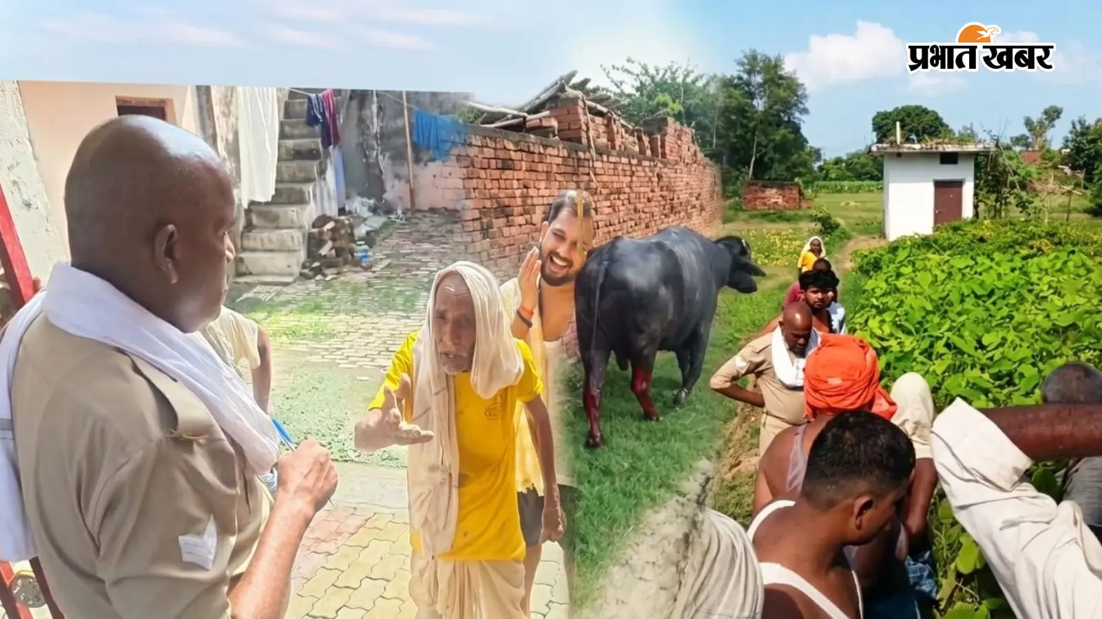 योगीराज में बलिया के बेजुबान पशुओं पर जुल्म कब तक? भैंसे पर बेरहमी से हमला, पुलिस की कार्रवाई पर उठे सवाल
