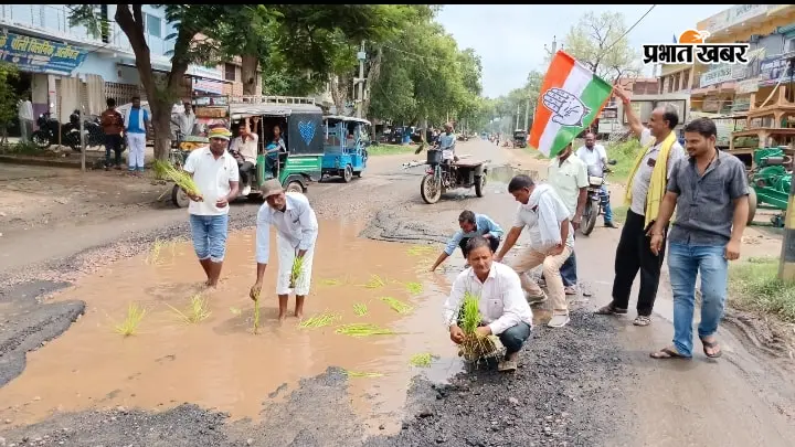 नवादा-सिकंदरा मुख्य मार्ग की बदहाली पर कांग्रेस का प्रदर्शन, जलजमाव वाले गड्ढों में धान रोपकर जताया विरोध