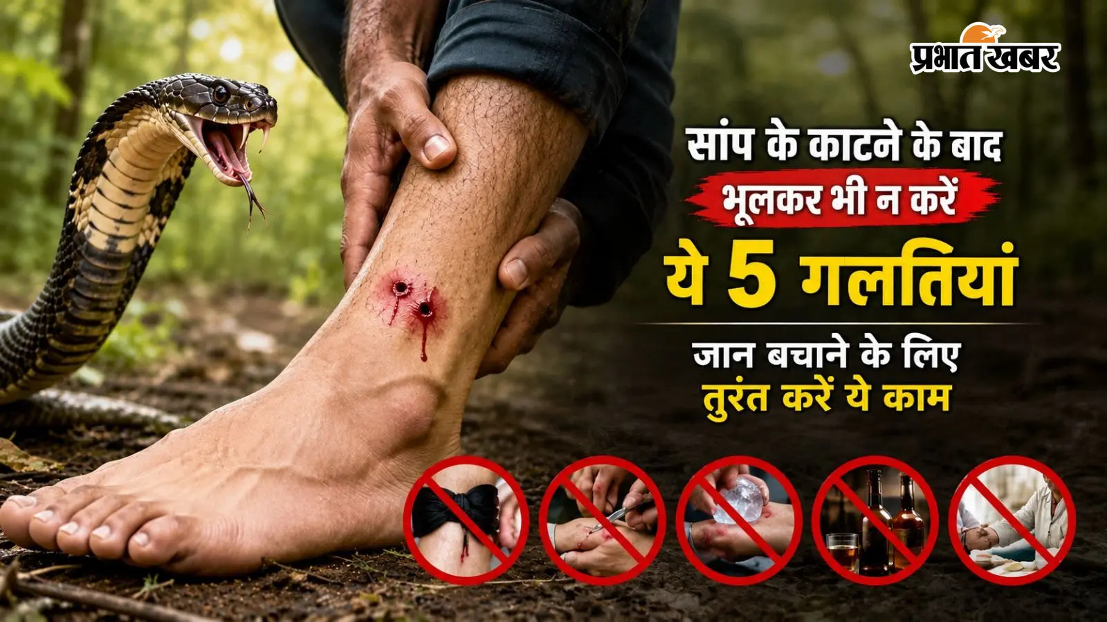 सांप के काटने के बाद भूलकर भी न करें ये 5 गलतियां, जान बचाने के लिए तुरंत करें ये काम