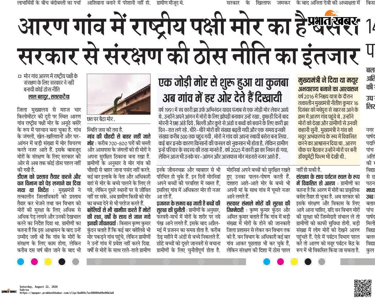 विचरण करते मयूर व प्रभात खबर में प्रकाशित खबर | Prabhat Khabar Network