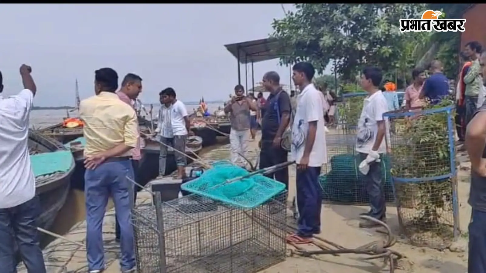 दानापुर में जंगली सूअर का आतंक,मासूम की मौत; आधा दर्जन घायल के बाद पहुंची रेस्क्यू टीम पहुंची