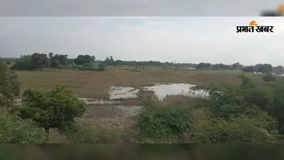 बाढ़ से दुर्गावती में सैकड़ों एकड़ फसल बर्बाद, खेतों में सड़ रही धान; किसानों ने मांगा मुआवजा