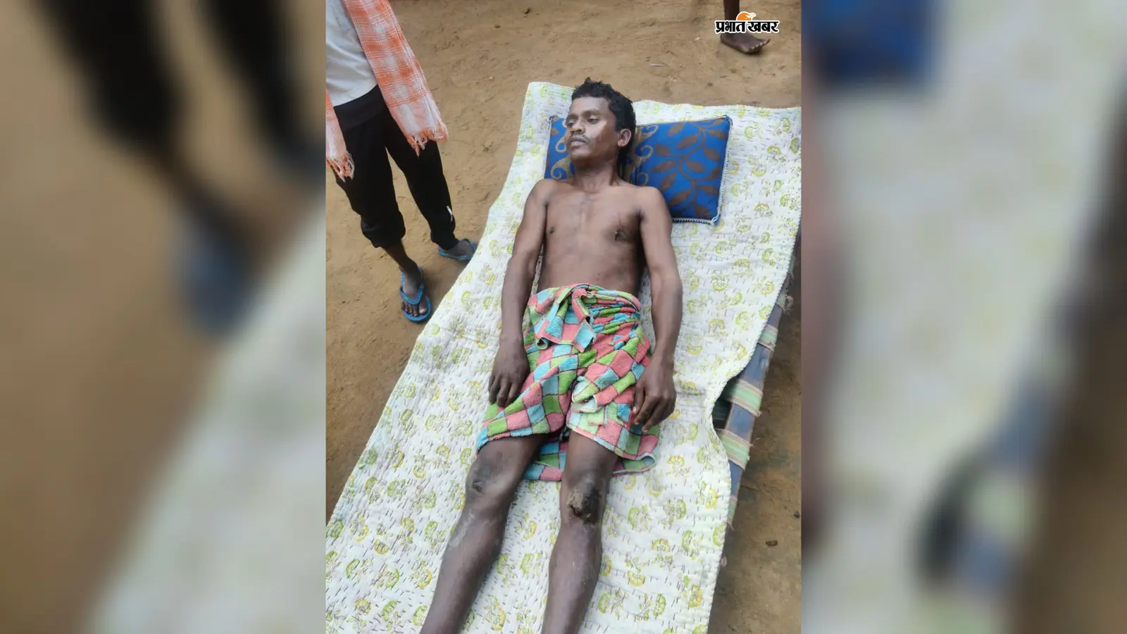 मांडू में गजराज का आतंक, खेत में दवा छिड़कने गये युवक पर हमला; हालत गंभीर