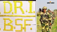सीमा पर BSF का एक्शन, 17 करोड़ से ज्यादा का सोना जब्त, 89 बिस्कुट के साथ बांग्लादेशी तस्कर अरेस्ट