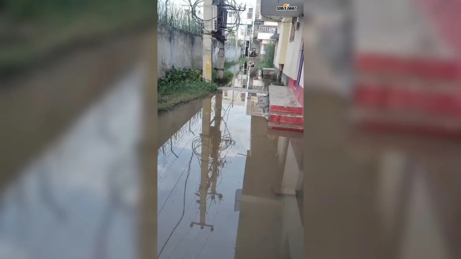 जहानाबाद: आदर्श कॉलोनी में एक माह से जलजमाव, मुख्य गली में एक फीट से अधिक पानी; घरों में घुसा नाली का गंदा पानी, नगर परिषद से गुहार लगाकर थके लोग