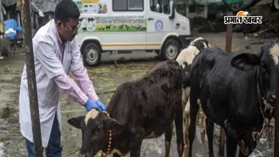 नवादा: दुधारू पशुओं के बीमा पर सरकार देगी 75 प्रतिशत अनुदान, लंपी समेत गंभीर बीमारियों से पशुओं की मौत पर मिलेगा बीमा लाभ
