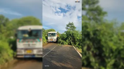 आंधी-बारिश के बीच सारठ-चितरा मुख्य सड़क पर गिरा पेड़, करमा मोड़ के पास राहगीर परेशान
