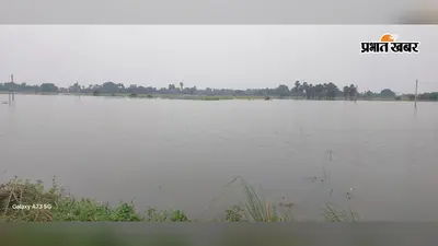 लखीसराय में बाढ़ ने किसानों की उम्मीदों पर फेरा पानी, 100 एकड़ से ज्यादा धान की फसल डूबी : सड़ने का बढ़ा खतरा