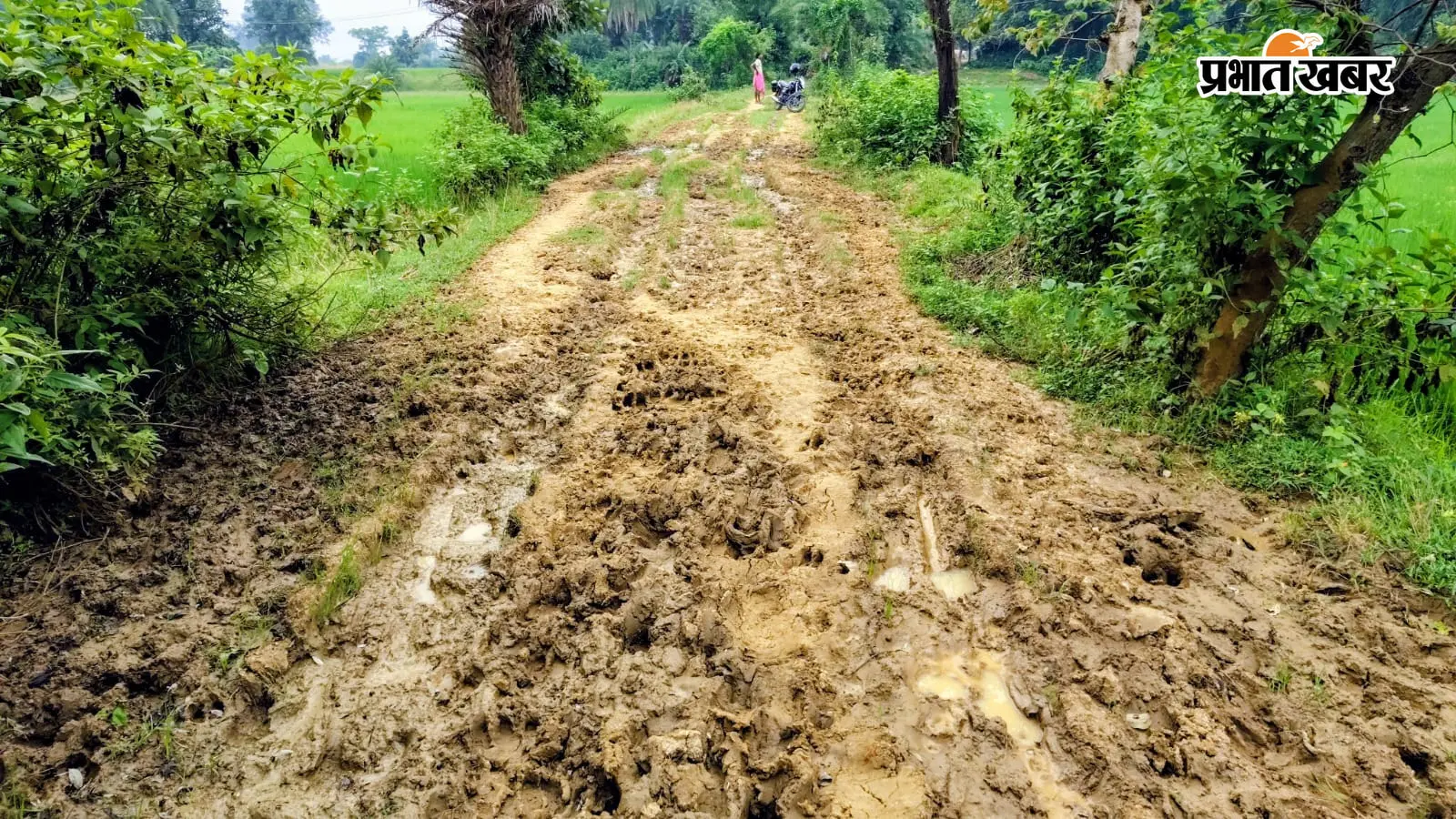बरसात में कीचड़, बीमारी में पैदल सफर… 20 साल से सड़क के इंतजार में दुमका का भालुसुगिया टोला