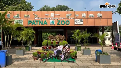 पटना जू में इस साल शुरू होंगे दो फूड कियोस्क, नॉन वेज पर रहेगी रोक, गेट के पास ही मिलेगा गर्मा गरम खाना