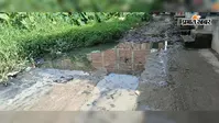 दिनारा के वार्ड 8 और 9 में जलजमाव से नारकीय स्थिति, गंदे पानी से होकर गुजरने को मजबूर लोग