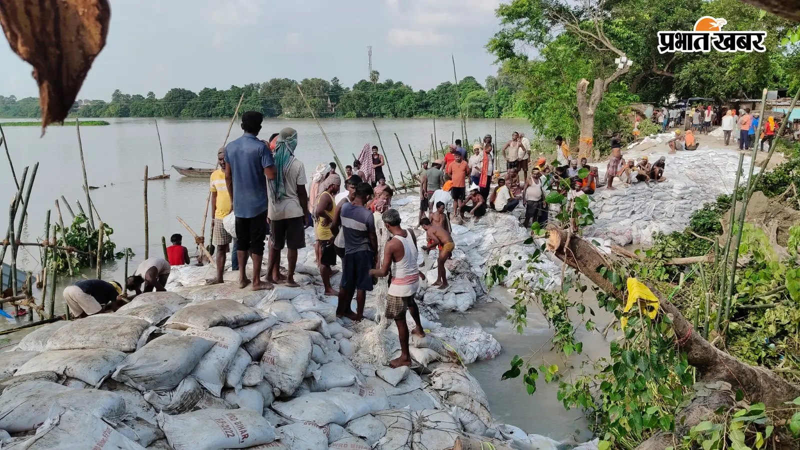 सारण में माही नदी का टूटा बांध तीन दिन बाद हुआ दुरुस्त, तीन पंचायतों में थमा बाढ़ का पानी; हजारों लोगों ने ली राहत