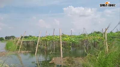 आरा: बड़हरा में गंगा के जलस्तर में 8 सेंटीमीटर की गिरावट, खतरे के निशान से अब भी 1.58 मीटर ऊपर