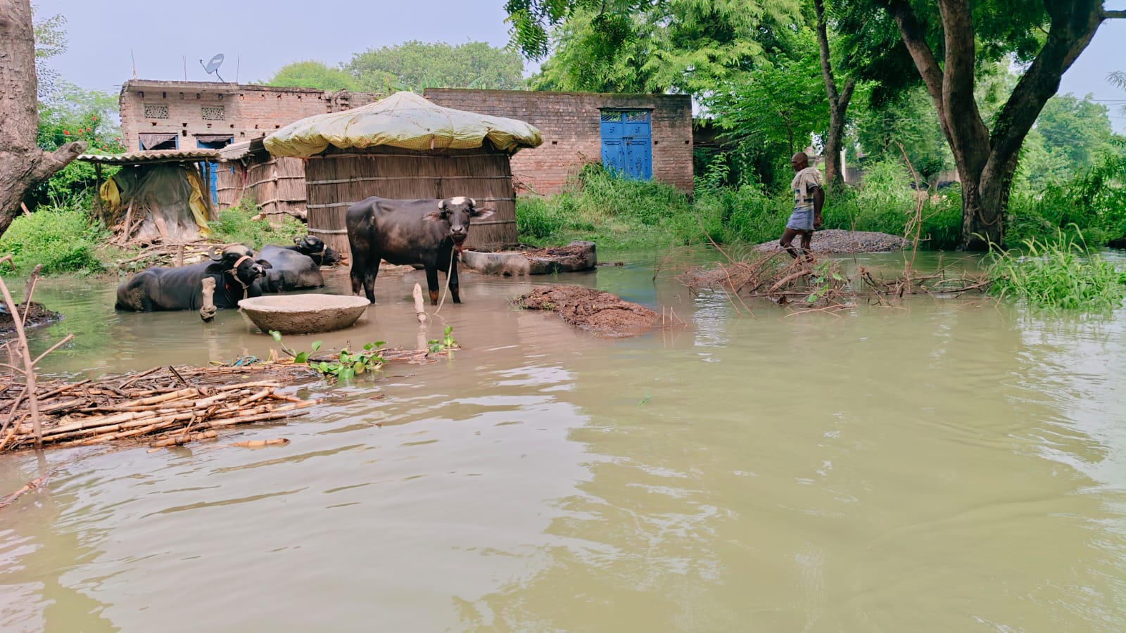 बाढ़ का पानी
