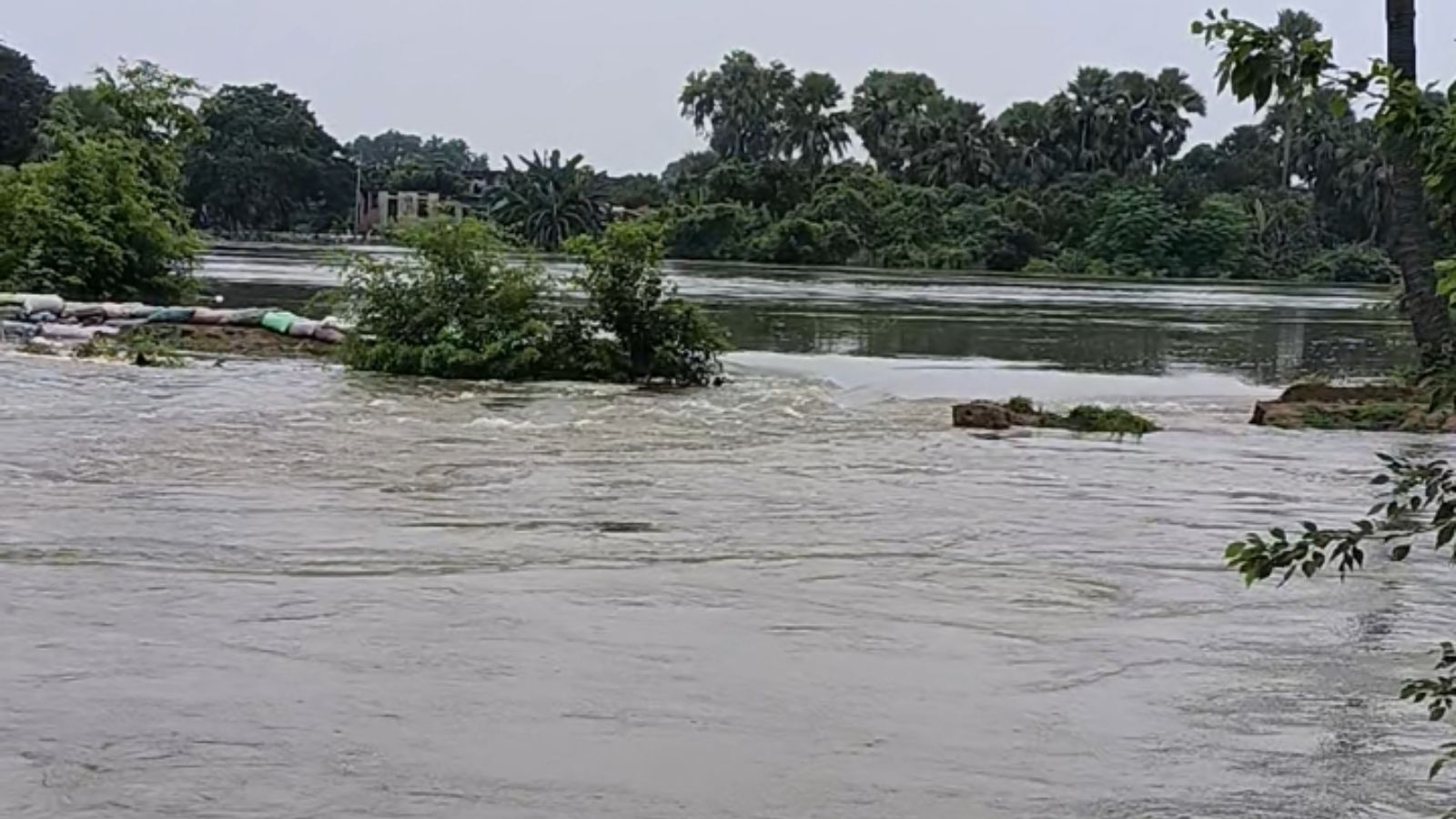 पुनपुन नदी में बाढ़, गांव तक पहुंचा पानी