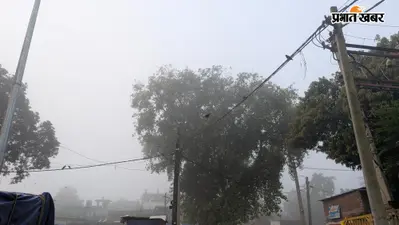 सितंबर में ठाकुरगंज की सुबह ने चौंकाया, घनी धुंध में छिप गया शहर : 7 बजे तक नहीं हुआ साफ नजारा