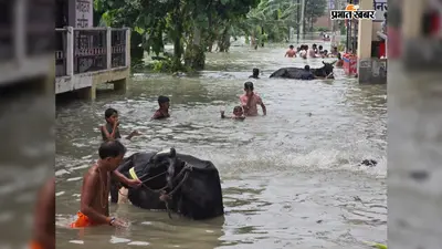 वैशाली में बाढ़ की स्थिति में सुधार, गंडक अब भी खतरे के निशान से ऊपर, 84 गांव प्रभावित