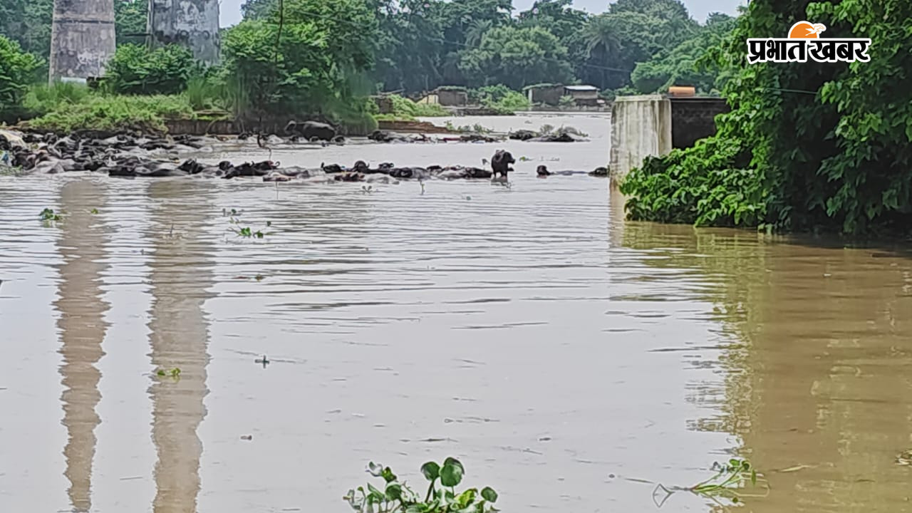 सीताकुंड मुख सड़क को न 80 से जोड़ने वाले संपर्क पद पर लबालब पानी, पाठ से प्रभावित क्षेत्र | Prabhat Khabar Network