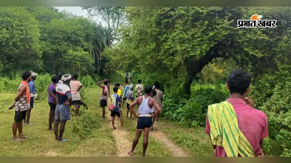 झुंड से बिछड़कर धातकीडीह पहुंचा हाथी, घबराएं लोग वन विभाग का कर रहे इंतजार...पढ़ें पूरी रिपोर्ट
