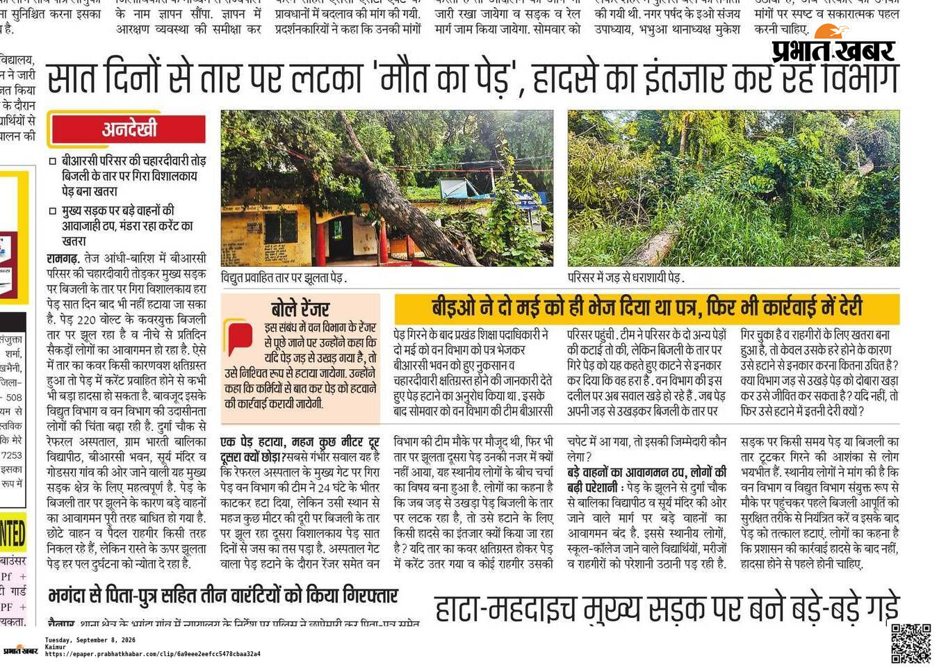 मंगलवार की सुबह वन विभाग के कर्मियों द्वारा काटे गए विशालकाय पेड़, #आठ सितंबर को प्रकाशित खबर #तीन सितंबर को प्रकाशित खबर | Prabhat Khabar Network