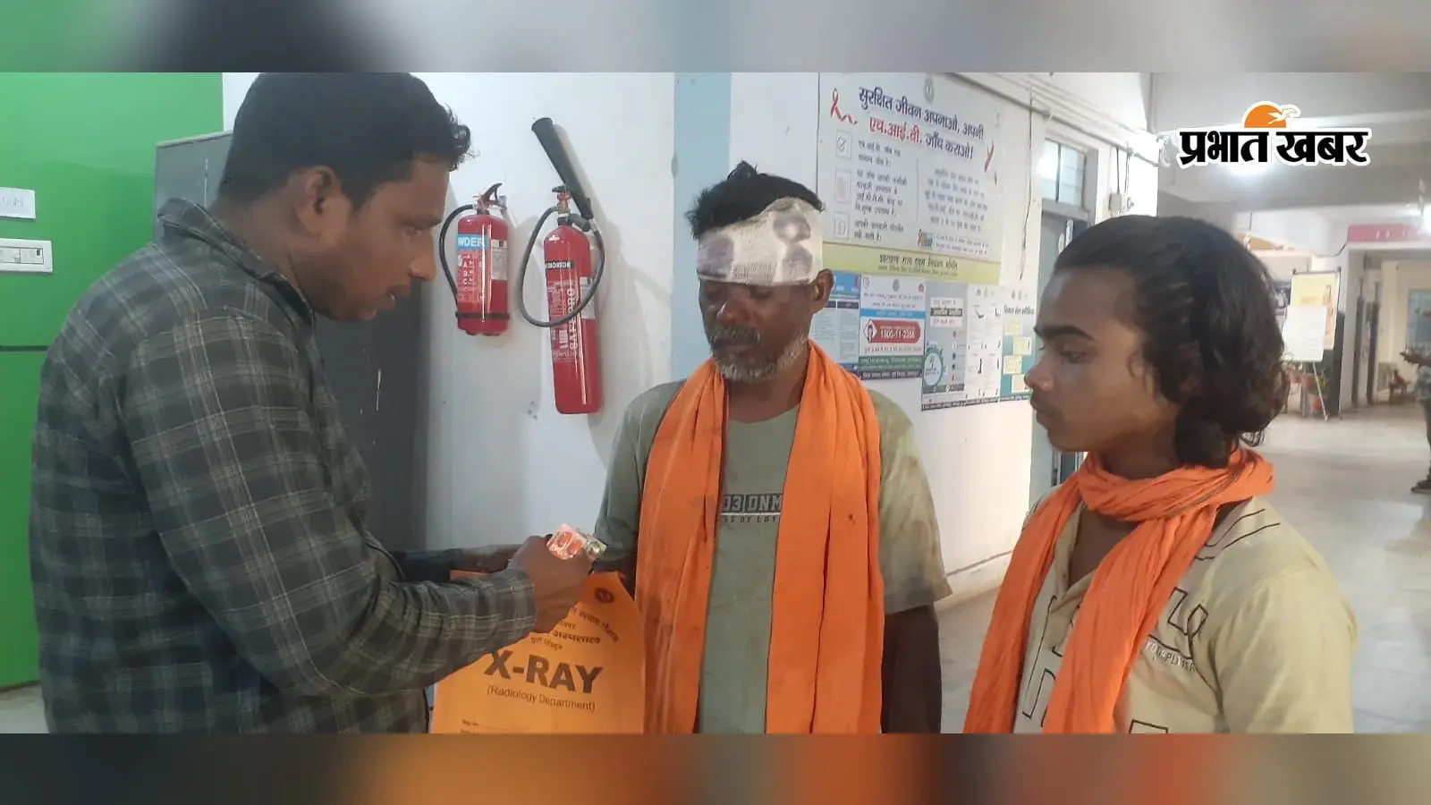 हाथी देखने की जिज्ञासा बनी मुसीबत, सूंड के धक्के से झाड़ी में जा गिरे युवक...