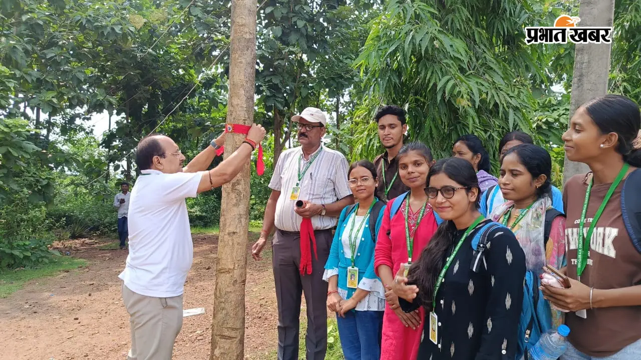 भाई नहीं, इस बार पेड़ों की कलाई पर बंधा रक्षा सूत्र, एएन कॉलेज में मना ‘वृक्ष रक्षाबंधन’