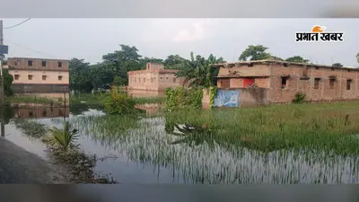 सारण: दरियापुर में बाढ़ का कहर, 30 गांवों में घुसा पानी; सैकड़ों एकड़ फसल बर्बाद, बांध बांधने की जद्दोजहद जारी