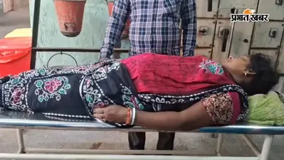 पुरुलिया में हाथी के हमले में महिला घायल, मानबाजार में दहशत