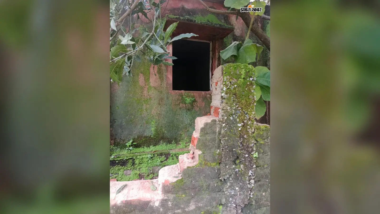 खूंटी के रनिया में हाथियों का आतंक, पुराने स्कूल भवन को किया क्षतिग्रस्त; धान की फसल भी रौंदी