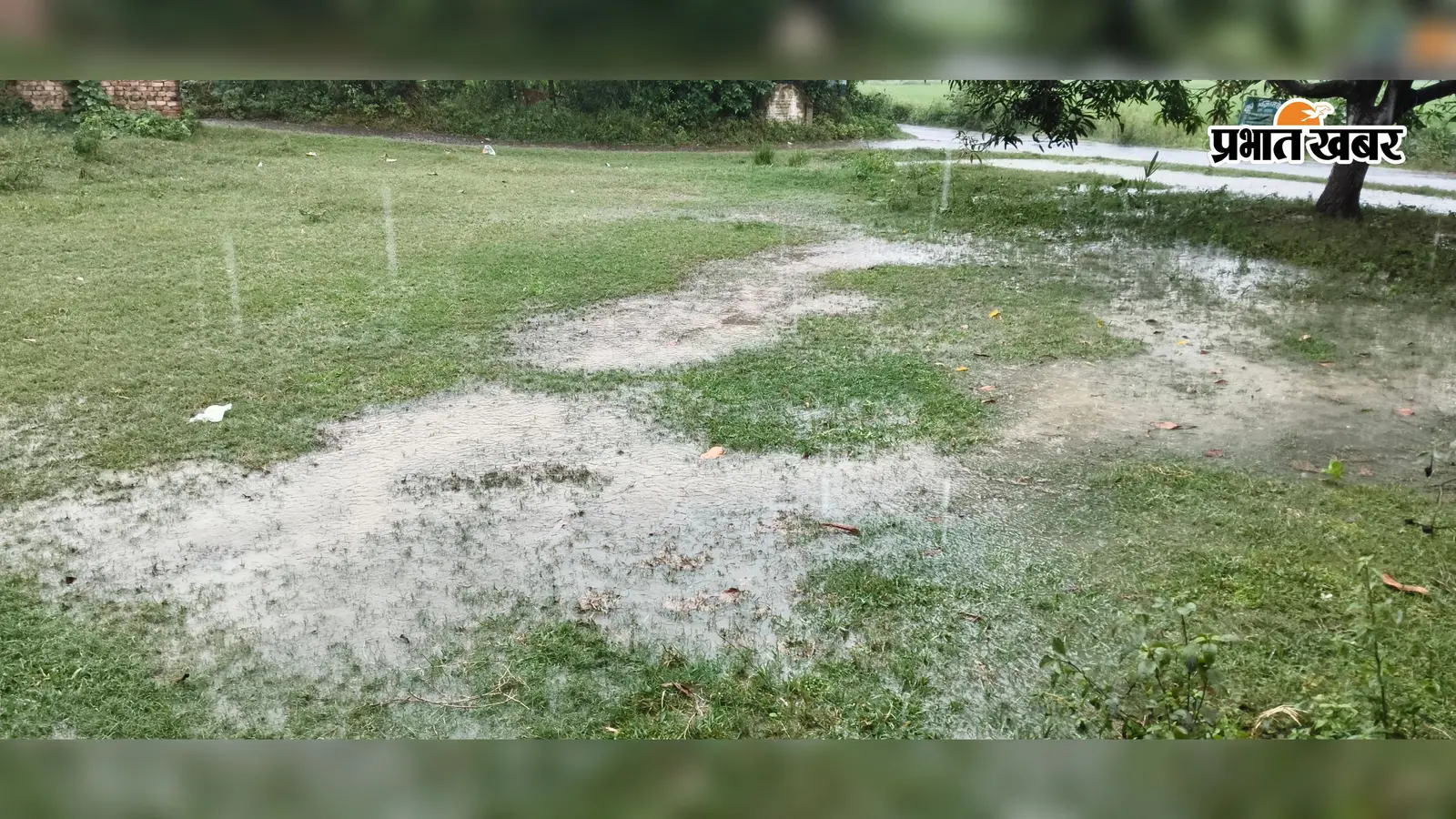 दरभंगा में झमाझम बारिश से बदला मौसम, धान की फसलों को मिली 'संजीवनी'