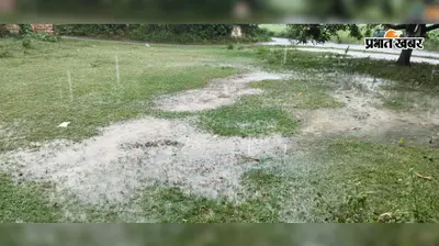 दरभंगा में झमाझम बारिश से बदला मौसम, धान की फसलों को मिली 'संजीवनी'
